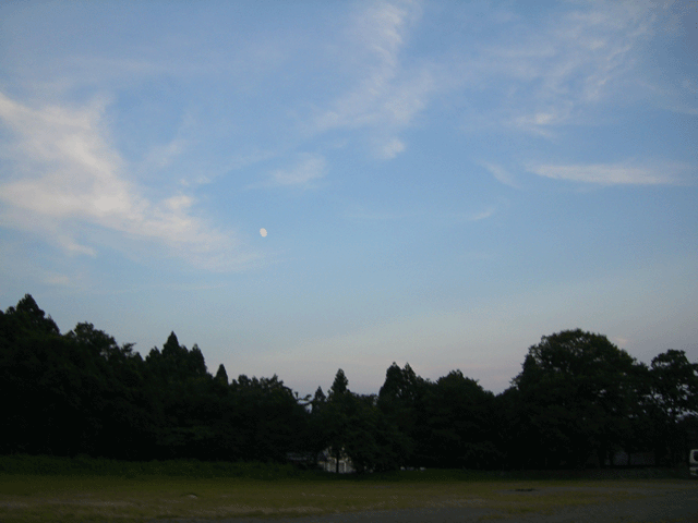 e0063003_13335854.gif