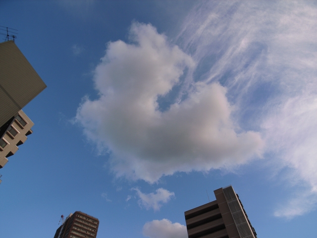 c0071611_23222547.jpg