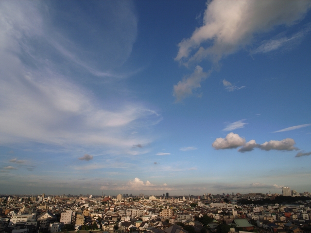 c0071611_23384659.jpg