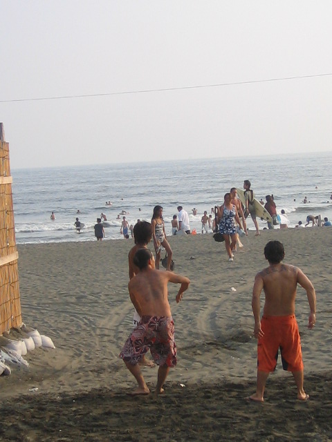 太陽・焼ける砂浜・海風・波・・・・・湘南の夏_c0039520_23381669.jpg