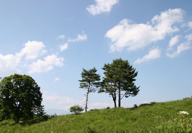 e0071225_17205934.jpg
