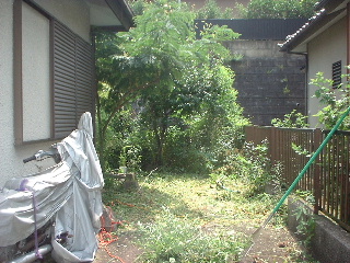 ジャングルからお庭へ・・・_f0031037_18432345.jpg