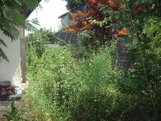 ジャングルからお庭へ・・・_f0031037_1846382.jpg