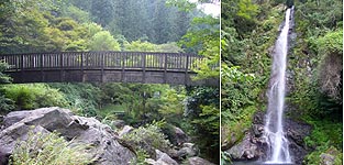 c0027965_21915.jpg