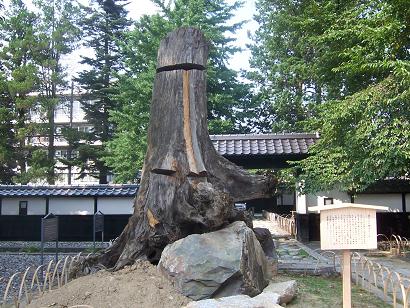c0084368_1910475.jpg