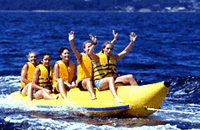 f0000593_055542.gif