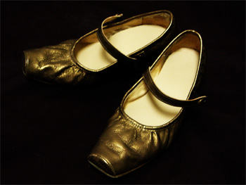金の靴・銀のチュチュ_c0077407_17475472.jpg