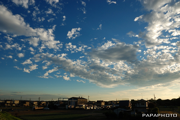 f0041908_1692344.jpg