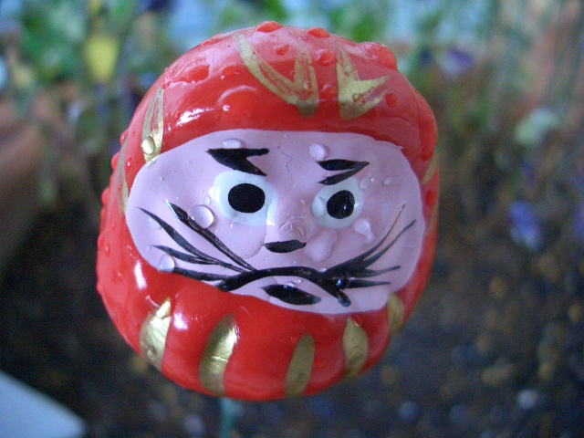 daruma-san_d0083623_2310925.jpg