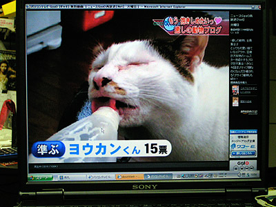 Gyaoで「ぶ」が放送されたようです。_a0028451_212202.jpg