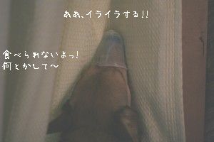 d0044755_20191830.jpg
