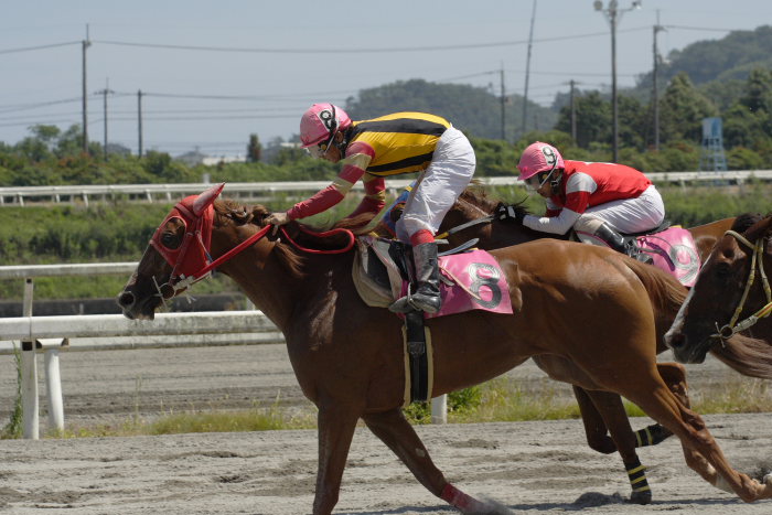 2006年8月5日（土） 高知競馬_a0077663_19185780.jpg