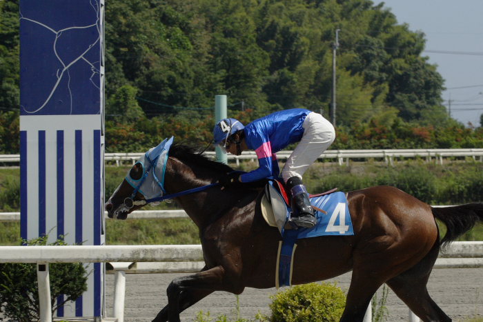 2006年8月5日（土） 高知競馬_a0077663_19312845.jpg