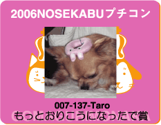 プチコンエントリーNo.007　たろーちゃん_a0064067_3193797.gif