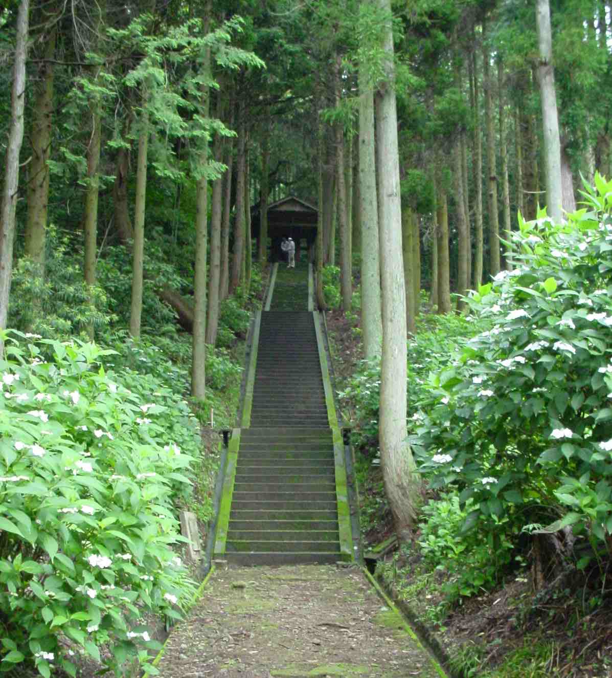 大聖寺 お不動さんまつり_f0040201_21164159.jpg