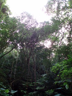 f0023210_81205.jpg