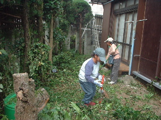 植木のゴミ片付け_f0031037_1438295.jpg