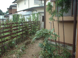 植木のゴミ片付け_f0031037_14392897.jpg