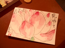 ＊見ゆ？＊　　2006,8,8_a0030038_964866.jpg