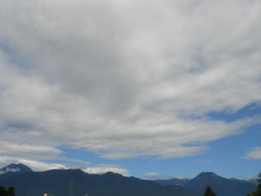 a0014840_1724689.jpg