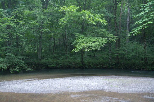 c0054876_5384420.jpg