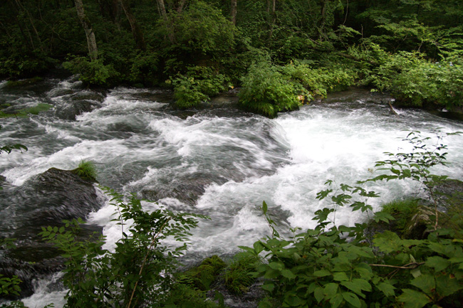 c0054876_539930.jpg