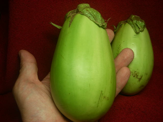 緑なす 飲食万歳