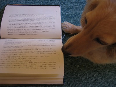 読書_a0038882_10263434.jpg