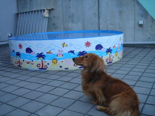 2006年8月9日 やっとつながった~~!!!_b0098584_1450593.jpg