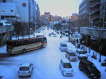 f0091318_1505257.jpg