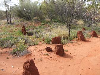 プチ・アウトバック =Alice Springs=Day3=_e0085144_11192827.jpg