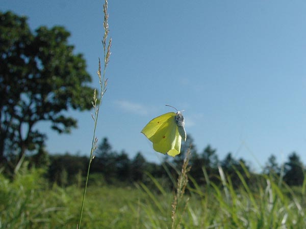 c0045352_20314634.jpg