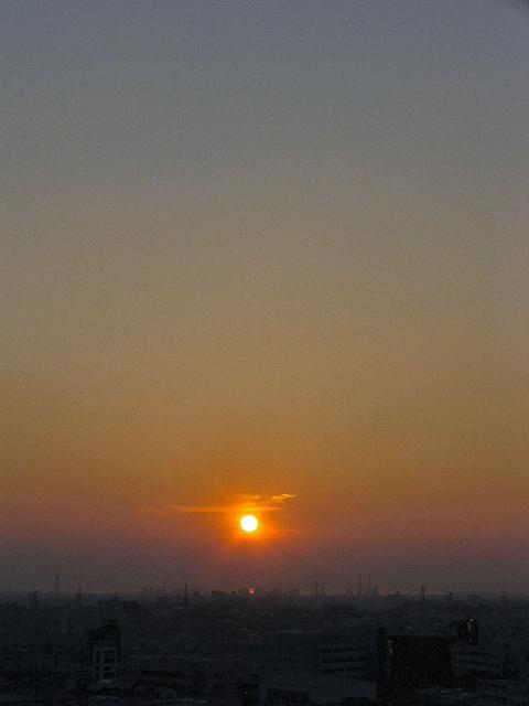 d0079958_865669.jpg