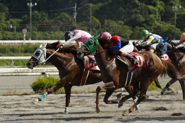 2006年8月6日（日） 高知競馬_a0077663_19443464.jpg