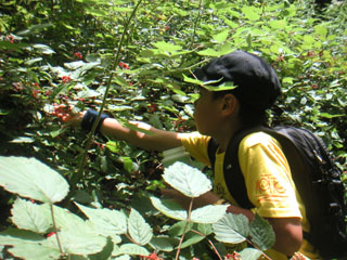 f0069775_0152364.jpg