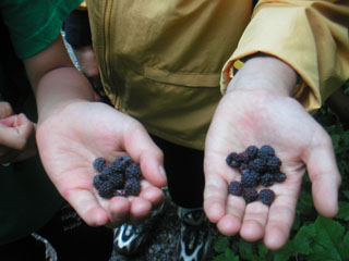 f0069775_016073.jpg