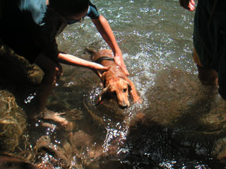 f0069775_0222790.jpg