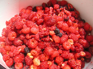 f0069775_0244453.jpg