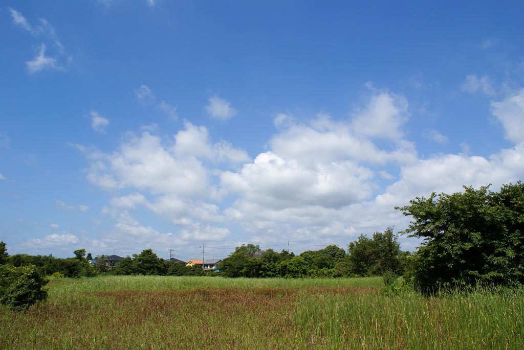 e0071178_10204168.jpg