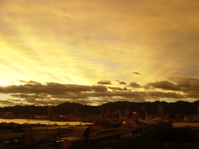 f0022982_19196.jpg
