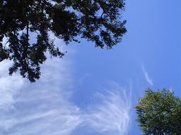 f0051025_5402436.jpg