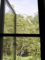 高原の夏です!_f0019247_1543415.jpg
