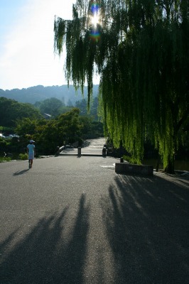 f0042548_83183.jpg