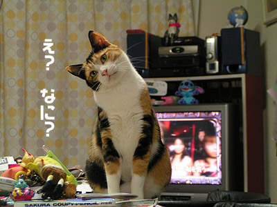 信じられない事が！_a0028451_1483344.jpg
