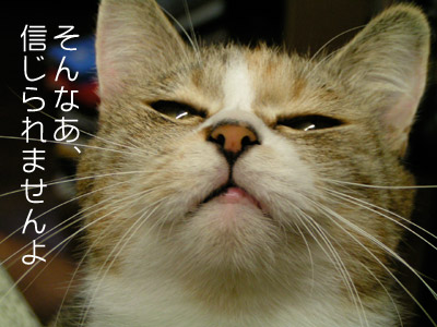 信じられない事が！_a0028451_1484491.jpg