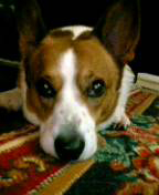 c0050857_10524028.jpg