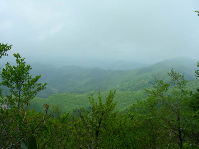 e0052074_0494140.jpg