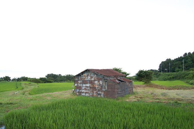 c0054876_5543744.jpg