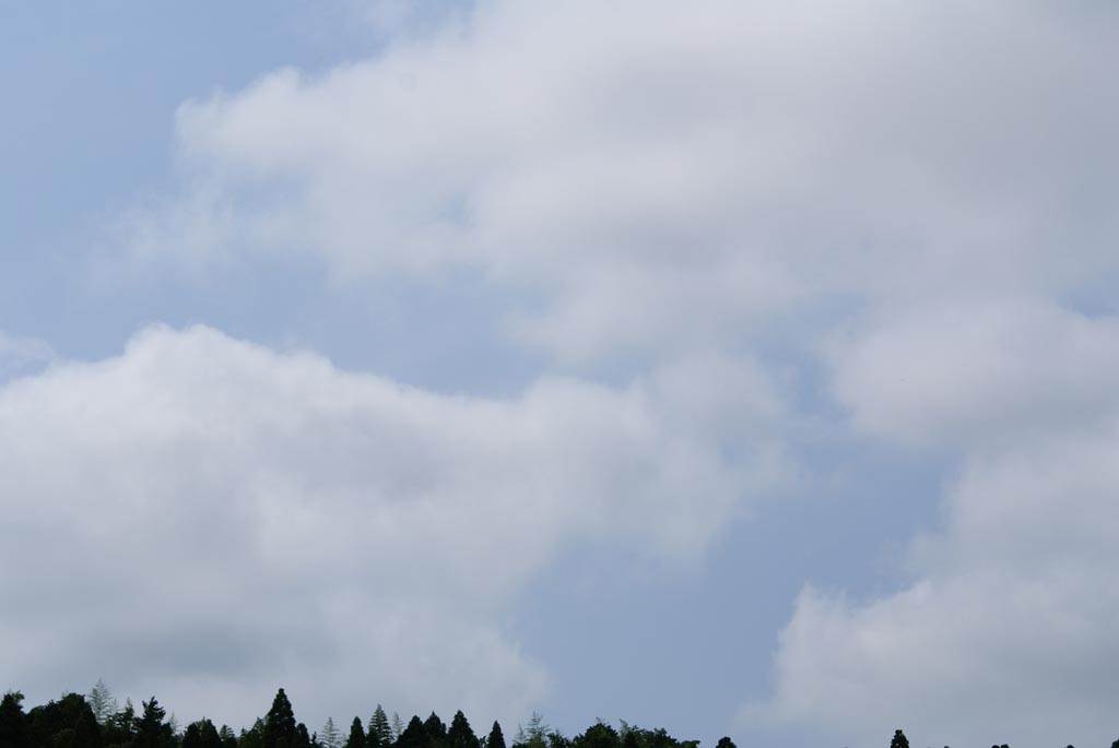 e0071178_16182432.jpg