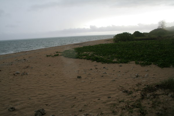 Okinawa 3 最初のビーチ_a0065288_3282881.jpg